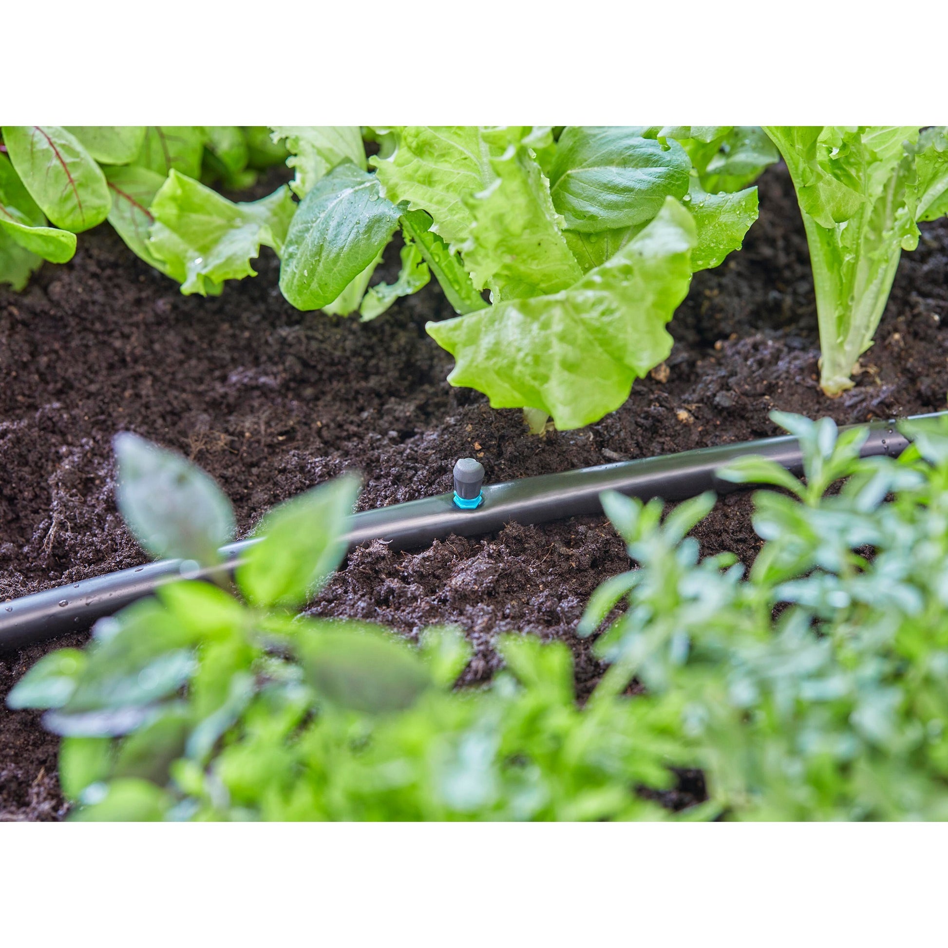 Gardena micro-drip-system sproeier 90° (zwart turquoise, 5 stuks)