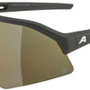 Alpina sonic hr q - sports glasses