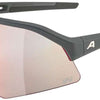 Alpina sonic hr qv - sports glasses