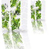 Unleazhed unscratch - frame protection film budz color