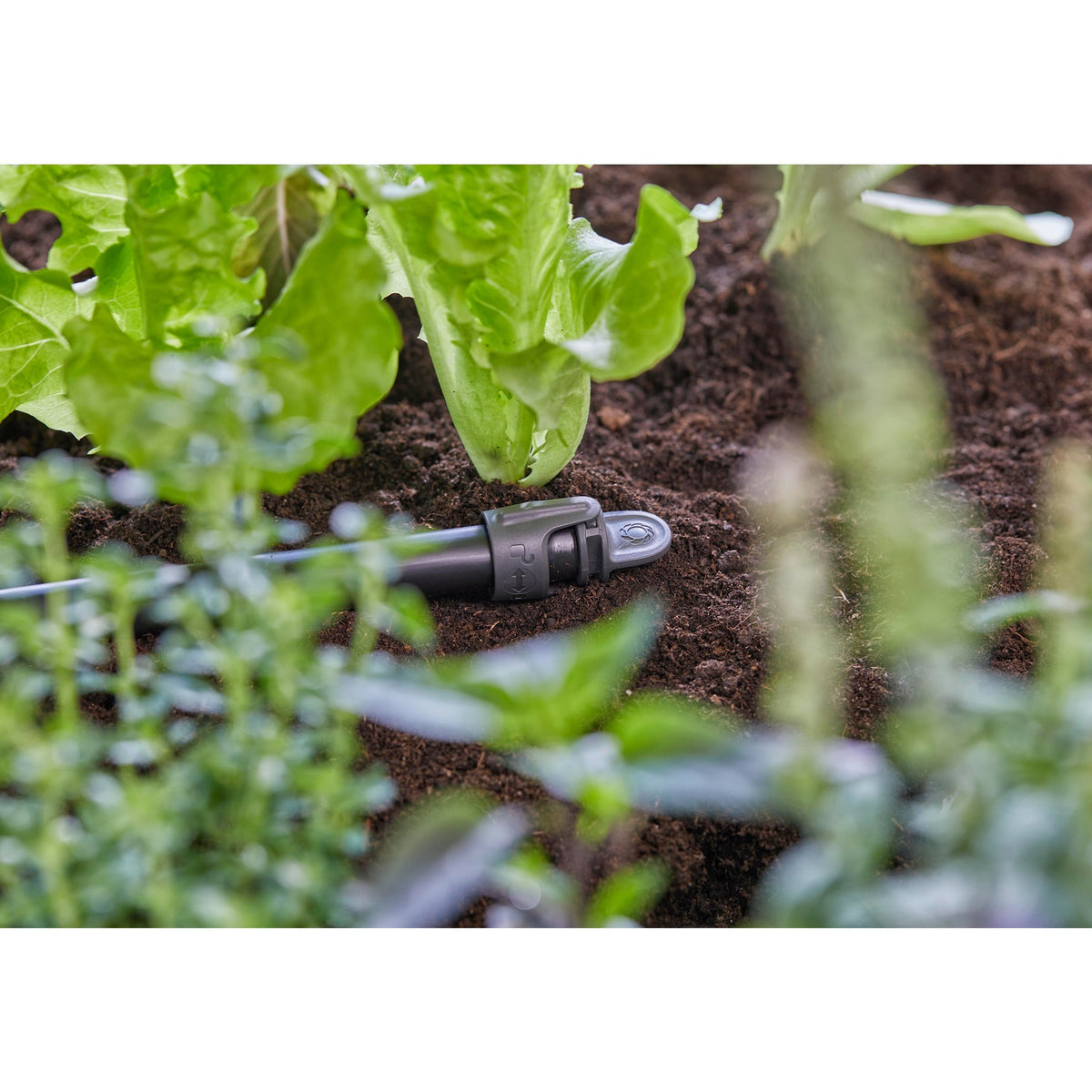 Gardena plug 13 mm (1 2 ) sluiting (donkergrijs, 5 stuks)
