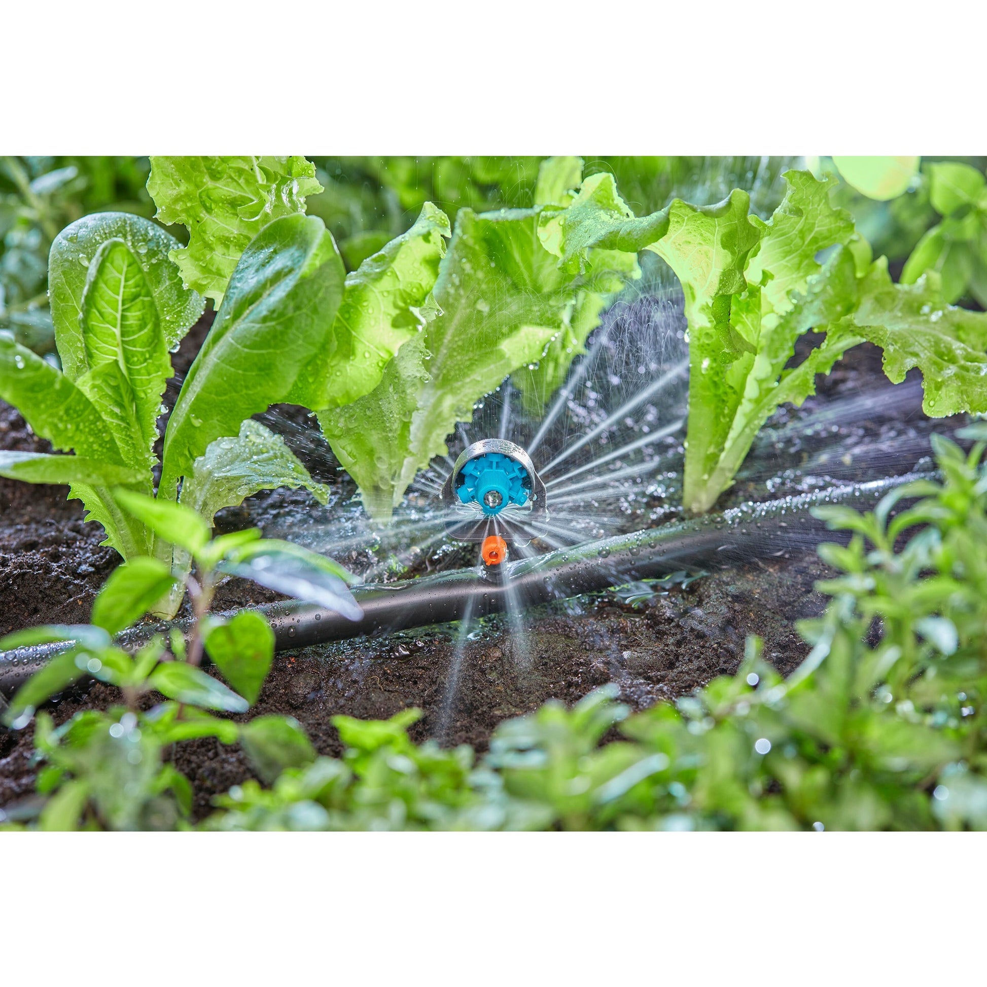 Gardena micro-drip system sproeikop 13 mm (1 2) ø - 13324-20
