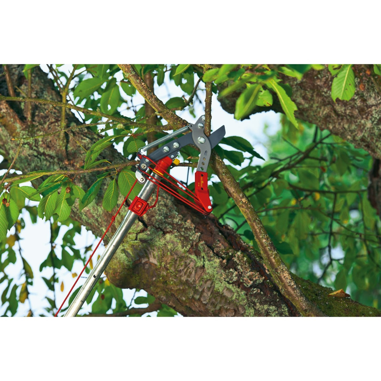 Wolf-garten rc-vm serie - snoeigereedschap - linkse aambeeldschaar - telescopisch - anti-hechting coating