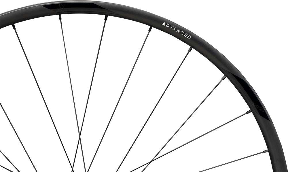 Newmen advanced sl x.r.25 cl fade rear wheel