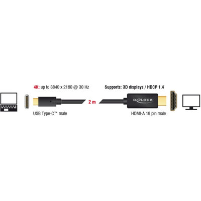 Delock usb-c naar hdmi kabel (zwart, 2 meter, 4k 30 hz, dp alt mode)