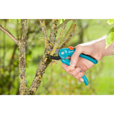 Gardena classic snoeischaar a s (turquoise, 8855-20)