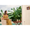 Aqara wall outlet h2 eu stekkerdoos (wit, zigbee)
