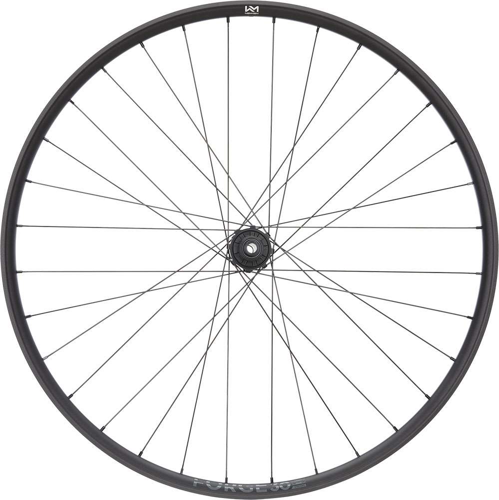 Newmen forge 30 dh 29 6-bolt 12x148 fade rear wheel