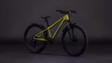 Cube acid 240 disc fe lizard´n´blue - afbeelding 2