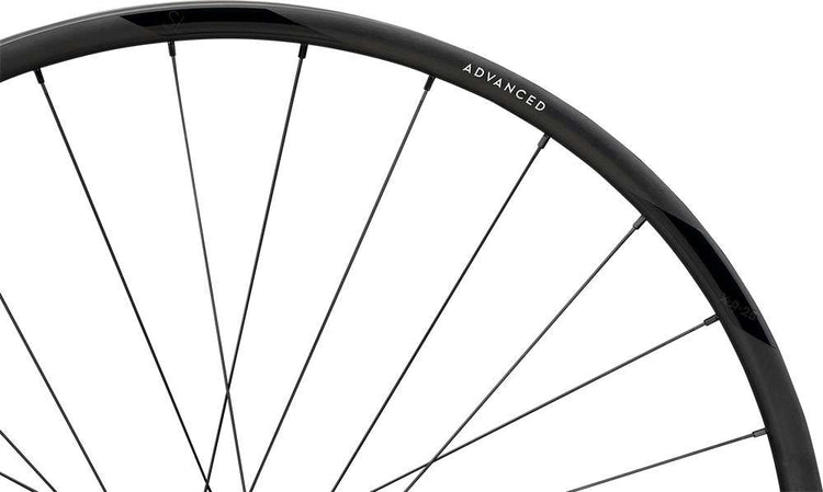Newmen advanced sl x.r.25 cl fade r 29 rear wheel