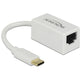 Delock superspeed usb-c (usb 3.1 gen 1) male > gigabit lan 10 100 1000 mbps compact adapter (wit, 0,135 meter)