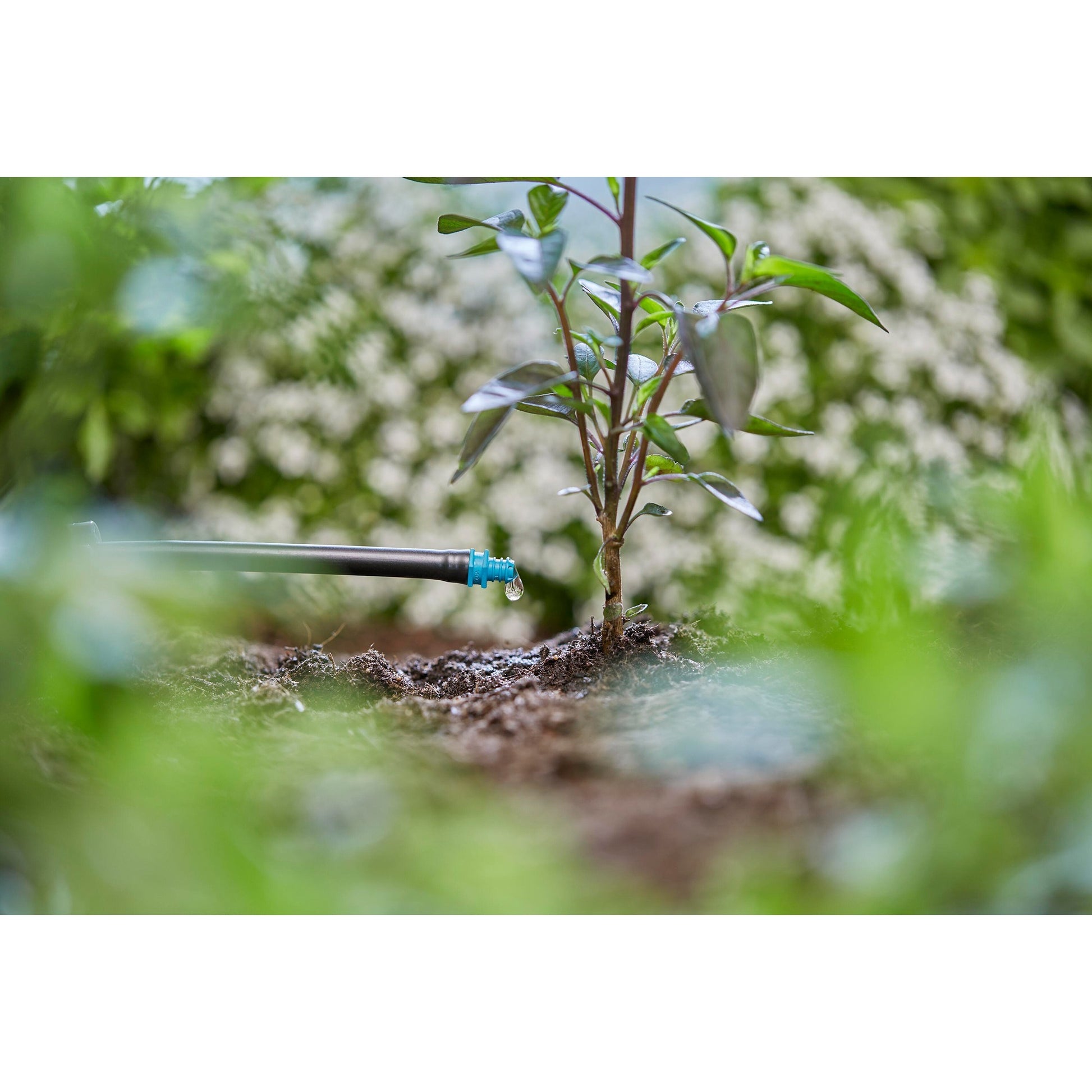 Gardena einddruppelaar 2 l u druppelaar (turquoise, 25 stuks)