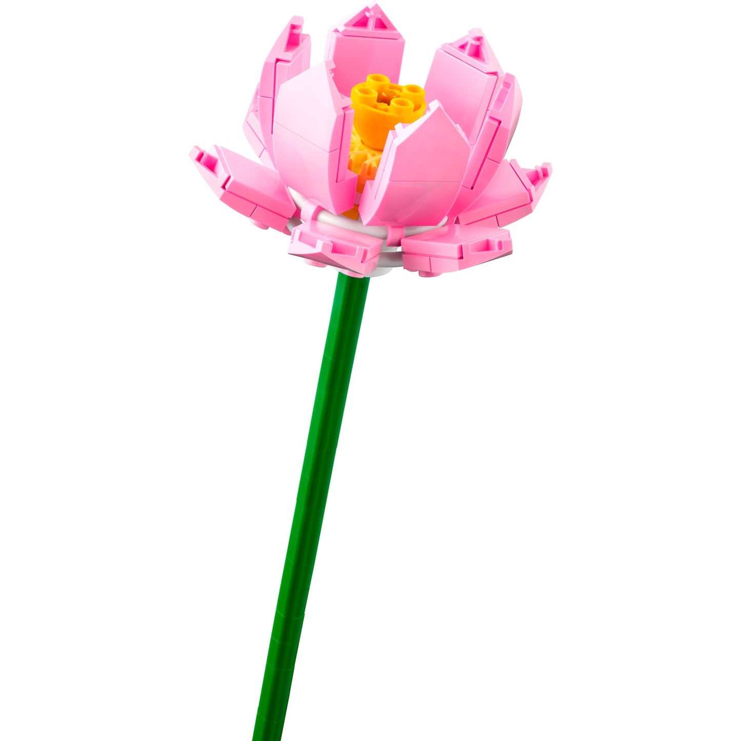 Lego iconic lotusbloemen - botanical collection - 40647