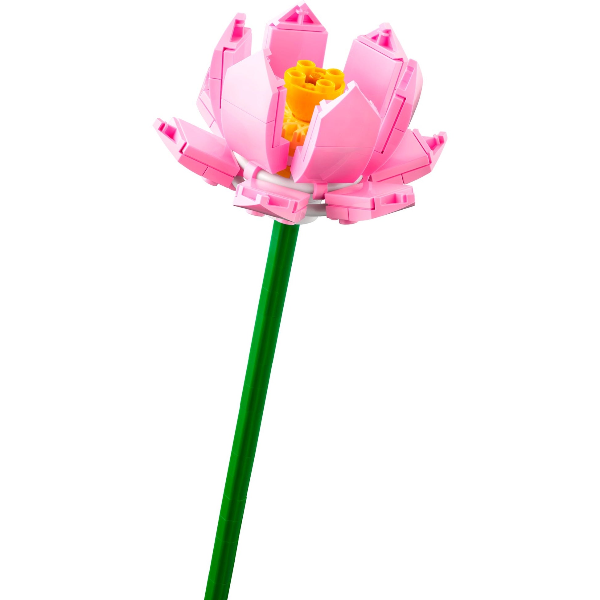 Lego iconic lotusbloemen - botanical collection - 40647