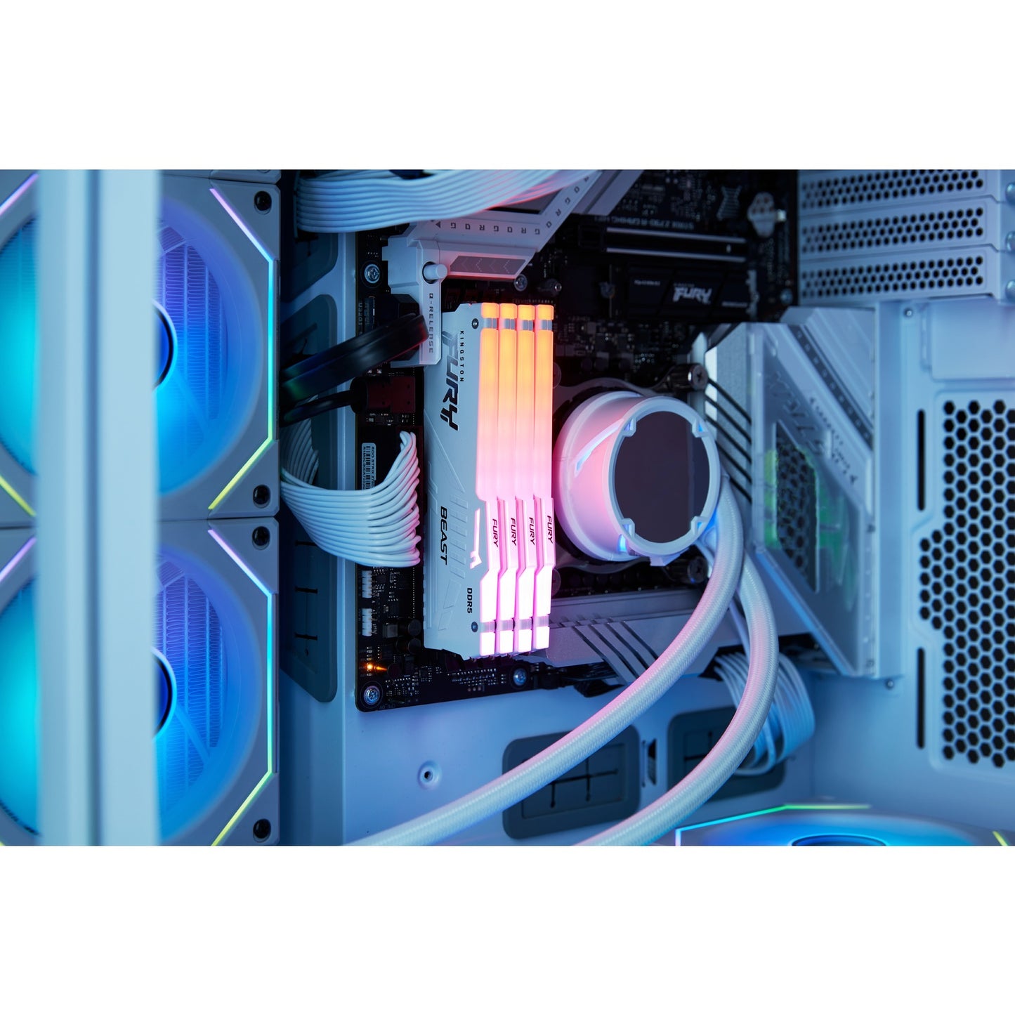 Kingston fury 16 gb ddr5-5600 werkgeheugen (wit, kf556c40bwa-16, beast rgb, xmp)
