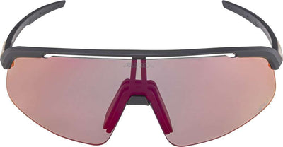 Alpina turbo pro s qv - sports glasses