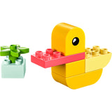 Lego duplo - mijn eerste eend constructiespeelgoed (30673) - afbeelding 2