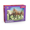 Schleich horse club - paso peruano starter set speelfiguur (42738)