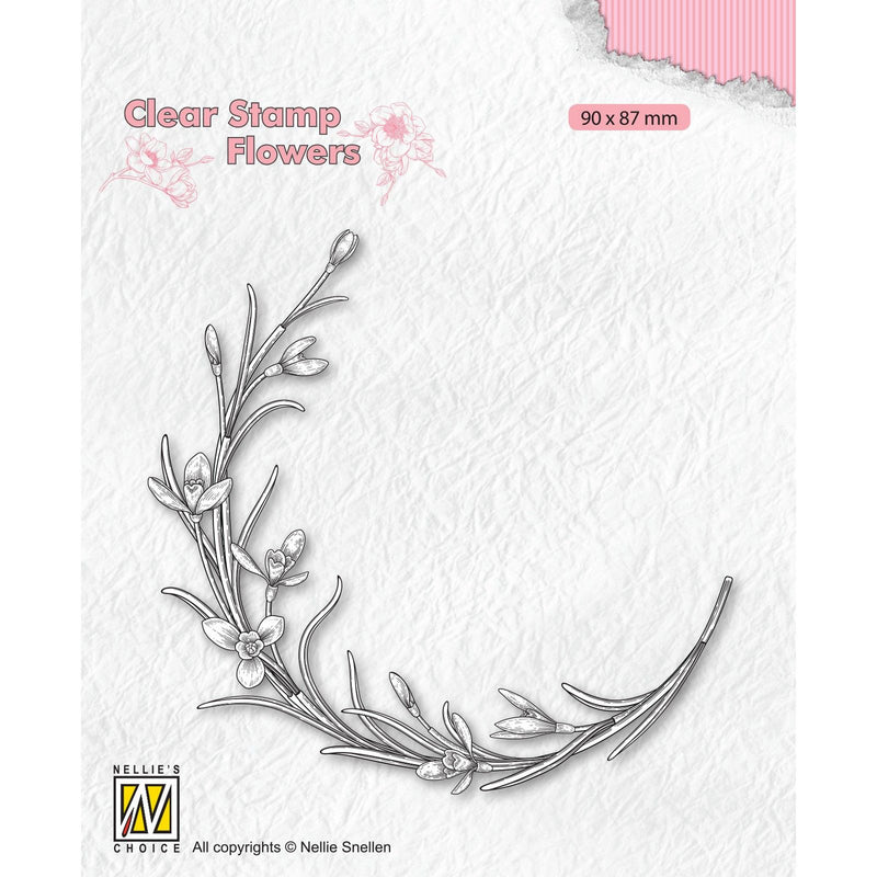Nellie's choice • flowers clear stempels blooming twig