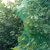 Connex vogelnet fijnmazig 5x4m 6g m2 - flor78154