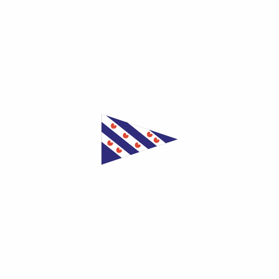 Dokkumer vlaggen centrale friese vlag puntvlag friesland 40x60 cm punt