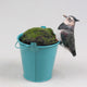 Farmwood animals pothanger vogel kievit 11x5x8cm polyresin