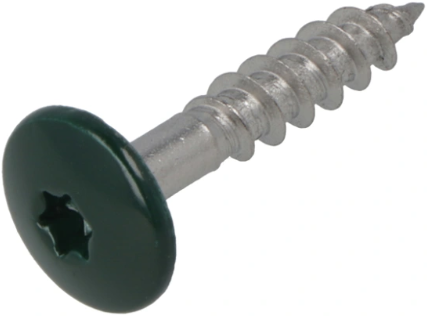 Hoenderdaal fasteners hoenderdaal hpl schroef rvs-a2 torx tx20 dennengroen ral6009 4.8x25 | 100 stuks - 0346.30.37122