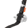 Ibera accessory carrier strap