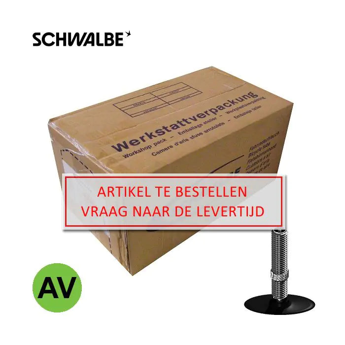 Schwalbe tube #13 40 62-559 av40 loose