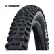 Vouwband Schwalbe Hans Dampf Performance 29 x 2.35 60-622 mm - zwart