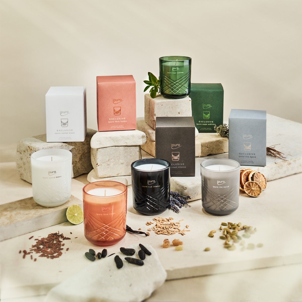 Ipuro geurkaars santal blanc 270gr
