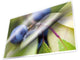 Kangaro lamineerhoezen - a4 - 80 micron - glanzend - 25 stuks