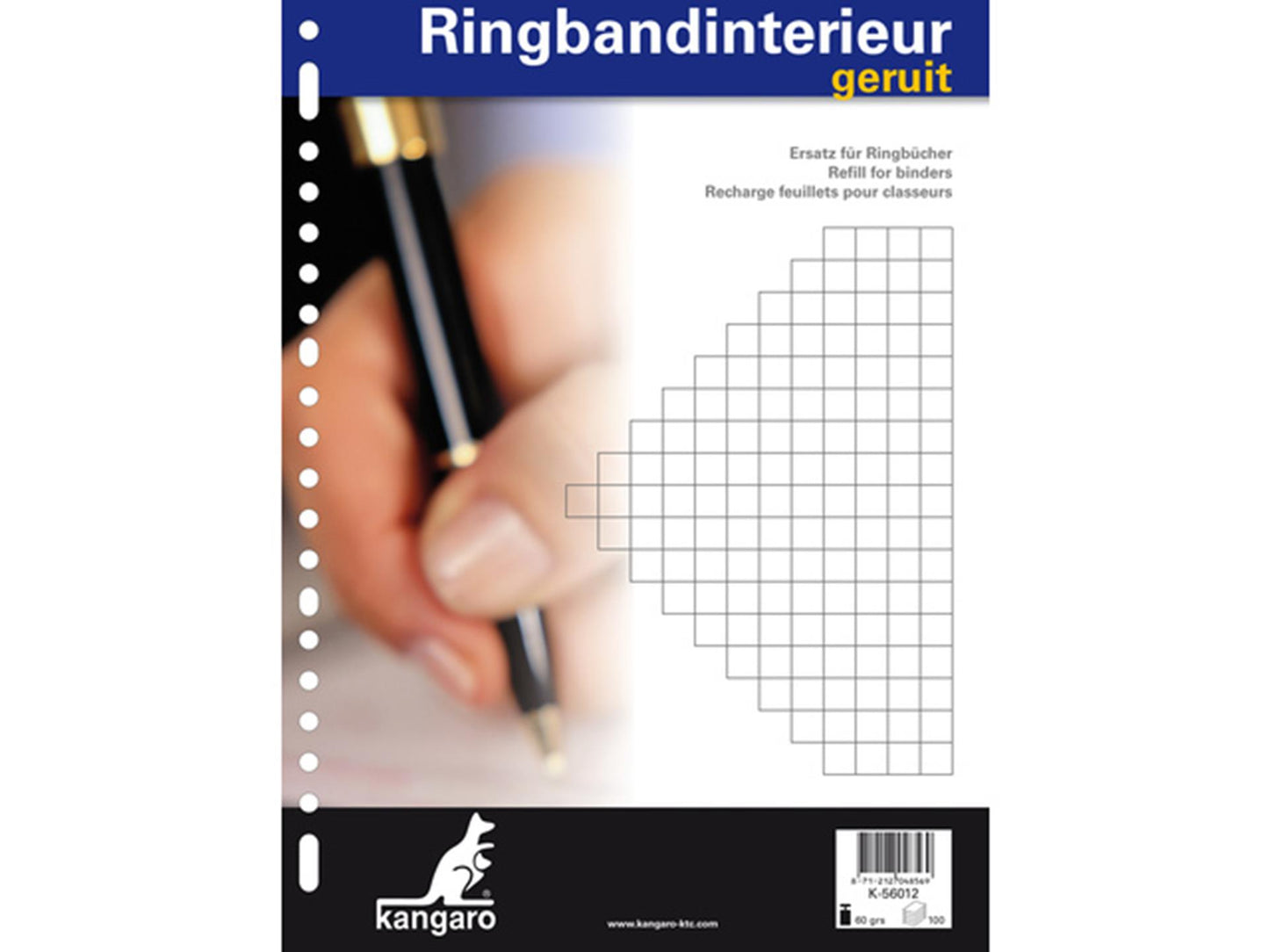 Kangaro ringbandinterieur - a4 - ruit 10mm - 60 grams - 23-gaats
