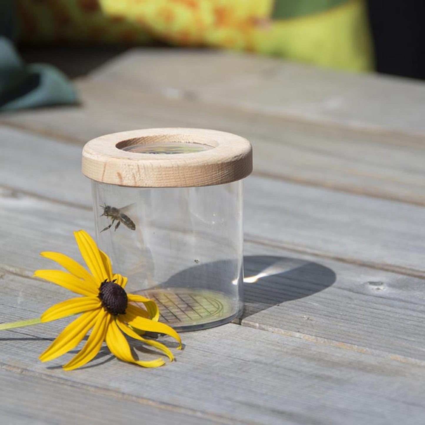 Esschert design houten insectenstudeerbox