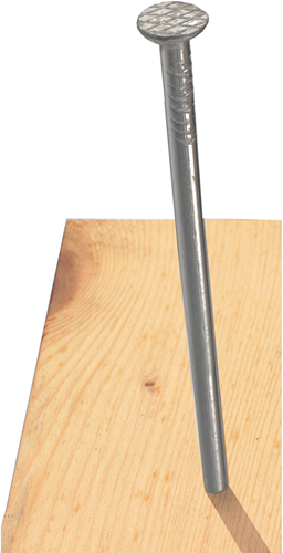 Connex nagel platte kop 2.8x65 750g fe - kk1012865