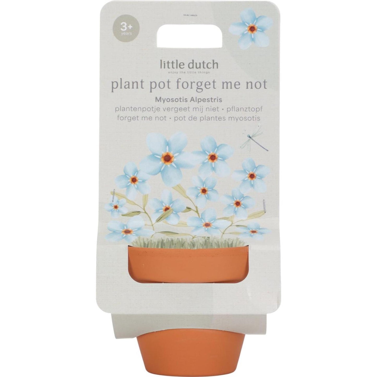 Little dutch plantenpotje vergeet-mij-nietjes