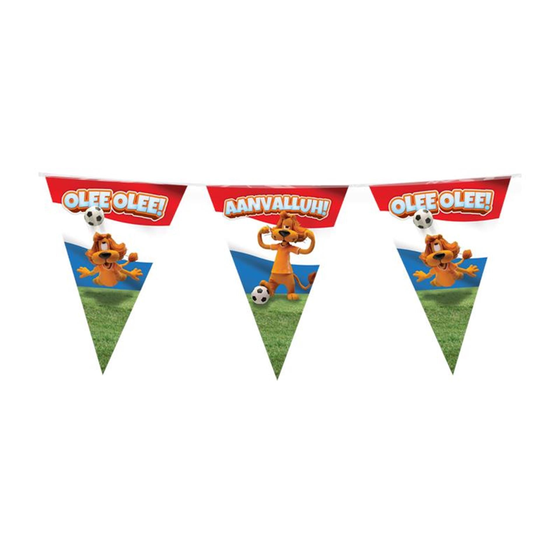 Paperdreams loeki - partyvlaggenlijn rood wit blauw 10m