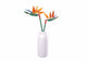 Sluban flowers paradijsvogelbloem strelitzia reginae aiton 148-delig