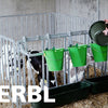 Abi producten ophang voerbak kunststof 100cm