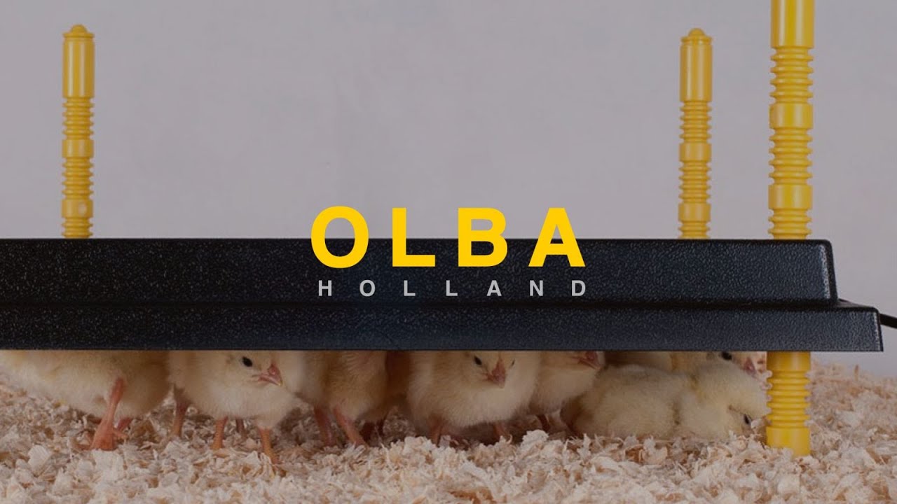Olba producten warmteplaat voor kuikens 40x40cm 42watt