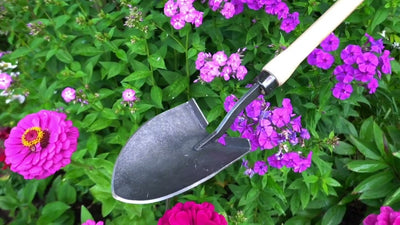 De wit producten amerikaans handschopje essen knopsteel 48cm dewit