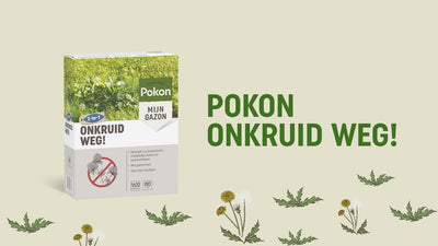 Pokon producten onkruid weg 80 m2 1600 gr