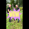 De wit producten palenlifter trekker voor palen tot 10cm stardewitstar