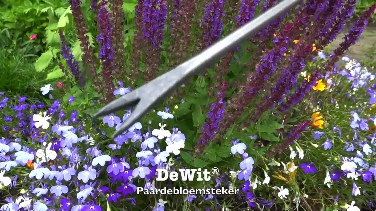 De wit producten bio paardenbloemsteker essen handvat 14cm dewit
