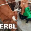 Producten weidepomp p100 dubbelpompend