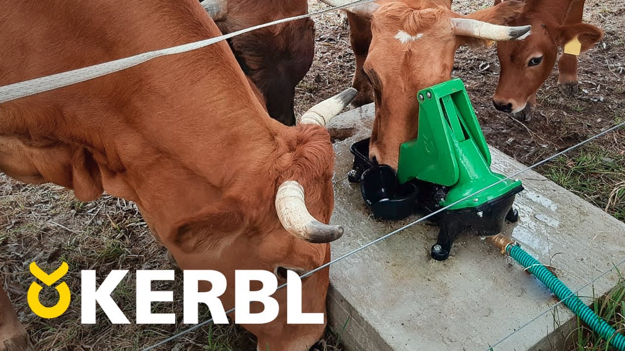 Producten weidepomp p100 dubbelpompend