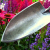 De wit producten plantenschepje x treme essenhandvat 14cm stardewitstar