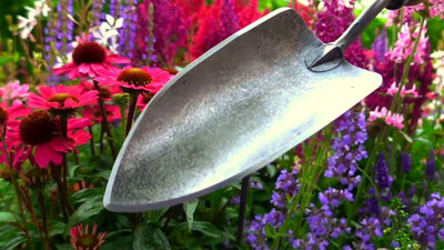 De wit producten plantenschepje x treme essenhandvat 14cm dewit