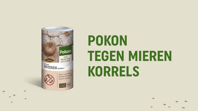 Pokon tegen mieren korrels 250gr - 7202010179
