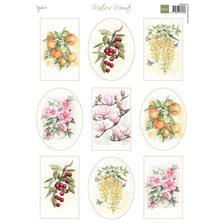 Marianne design • mattie's mooiste knipvel fruit flowers